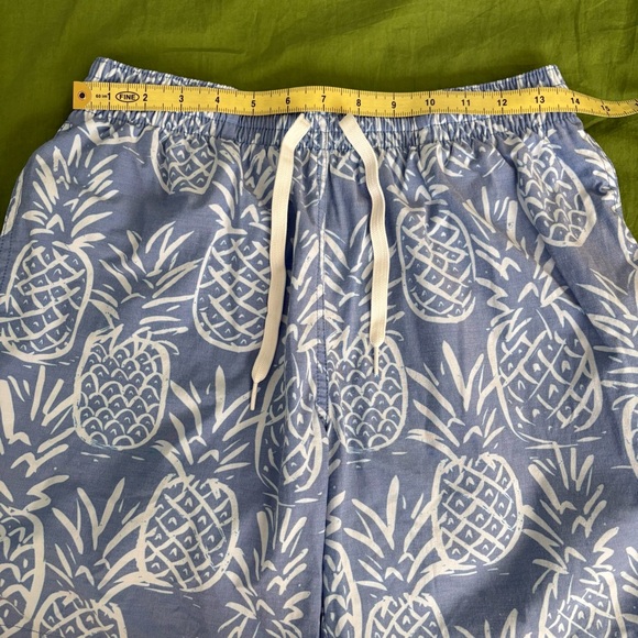 Chubbies Swim Trunks Blue White Pineapple Mesh Liner - Picture 8 of 10